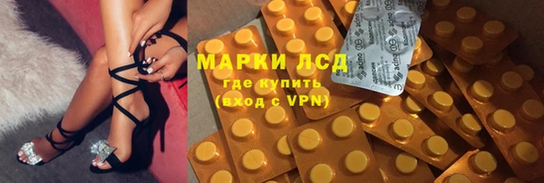 дурь Карпинск