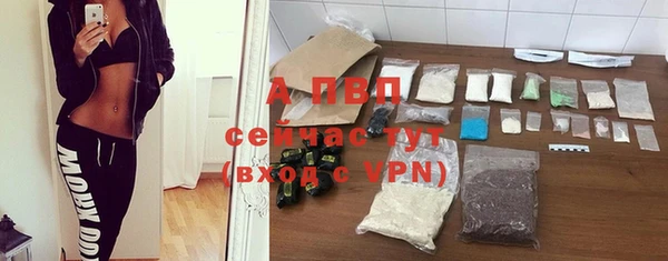 дурь Карпинск