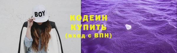сатива Касимов
