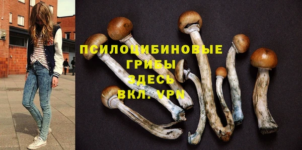 MESCALINE Карталы