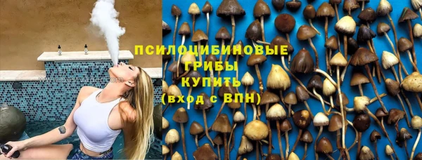 сатива Касимов