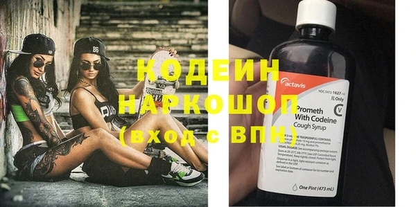 дурь Карпинск