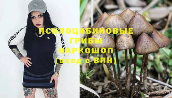 MESCALINE Карталы