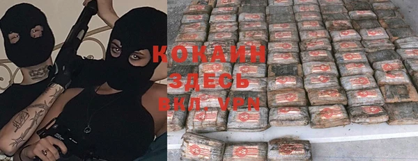 сатива Касимов
