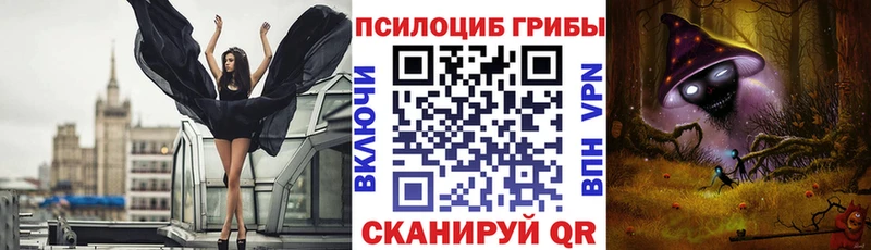 Псилоцибиновые грибы ЛСД  Купить закладки  Зеленогорск 